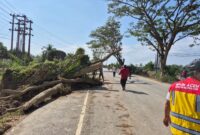 1765019155074-kementerian-pekerjaan-umum-pu-terus-mempercepat-pemulihan-akses-jalan-di-kabupaten-aceh-tamiang-pascabencana-banjir-dan-longso-1765011640608