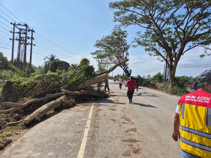 1765019155074-kementerian-pekerjaan-umum-pu-terus-mempercepat-pemulihan-akses-jalan-di-kabupaten-aceh-tamiang-pascabencana-banjir-dan-longso-1765011640608