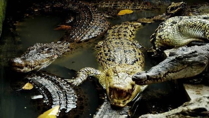 1765062287695-0426e3d0-3f1d-46b4-a17d-430485833bae_169