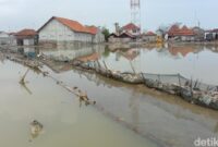 1765083924911-ilustrasi-banjir-rob_169