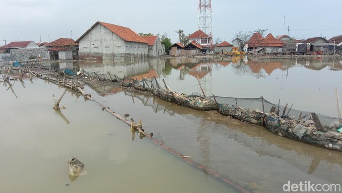 1765083924911-ilustrasi-banjir-rob_169