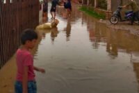 1765083926865-warga-melintasi-genangan-banjir-susulan-di-gampong-aceh-kabupaten-aceh-timur-minggu-7122025-1765081751601_169