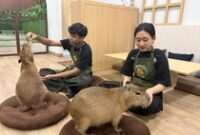 1765083930309-capybara-cafe-1765080262837_43