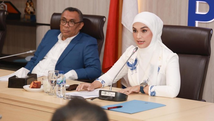 1765105580163-ketua-fraksi-pan-dpr-putri-zulhas-dok-istimewa_169