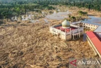 1765127141405-lautan-kayu-di-aceh-tamiang-erlangga-bregas-prakoso-antara-1765085370074_169