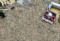 1765148673828-tumpukan-kayu-pascabanjir-bandang-putus-akses-ke-desa-tanjung-karang-aceh-tamiang-1765081980489_169