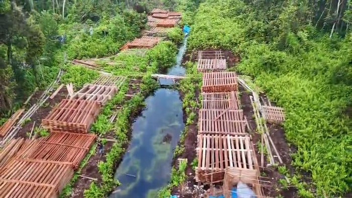 1765429594185-potret-ratusan-kubik-kayu-hasil-illegal-logging-yang-dibongkar-polisi-di-indragiri-hulu-riau-1765415476755_169