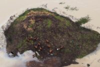 1765559130181-north-america-weather-1765515748523_169