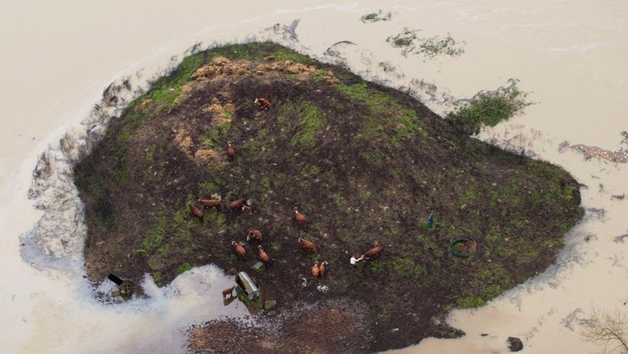 1765559130181-north-america-weather-1765515748523_169