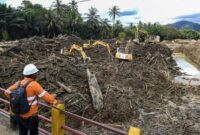 1765602333251-penampakan-kayu-gelondongan-tutup-akses-dan-hambat-evakuasi-di-tapteng-1765522970290_169