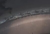 1765623906157-tangkapan-layar-postingan-viral-ban-bus-transjakarta-botak-1765617739803_169