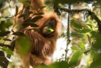 1765645519048-489f4b96-d91c-4abe-9b3f-e24443eaf001_169