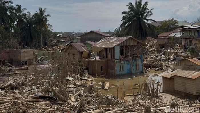 1765667086774-kondisi-aceh-tamiang-usai-banjir-surut-1765464194816_169