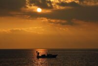 1765667087677-1617136284_169