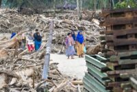 1765667088102-penampakan-kayu-gelondongan-tutup-akses-dan-hambat-evakuasi-di-tapteng-1765522970346_169