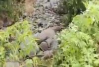 1765775172201-fenomena-alam-1765770614896_169