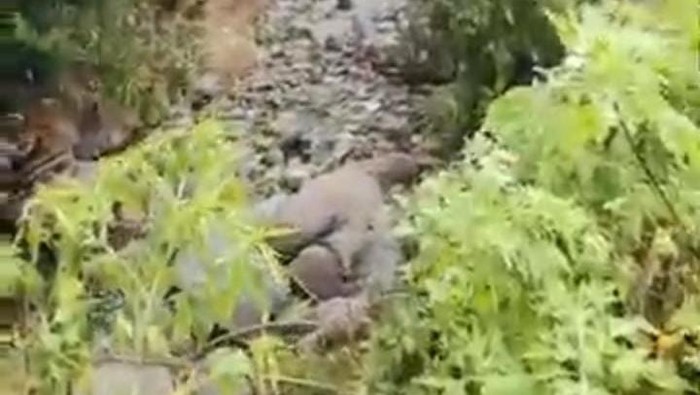 1765775172201-fenomena-alam-1765770614896_169