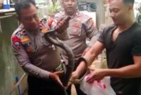 1765775172595-warga-tambun-selatan-bekasi-ketakutan-karena-ada-ular-yang-masuk-ke-rumah-warga-melapor-ke-call-center-polri-110-dan-polisi-da-1765773625115
