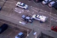 1765775173116-australia-crime-1765762752471_169