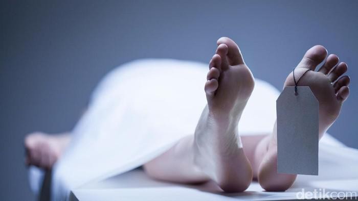 1765775175127-penemuan-mayat-wanita-duduk-di-melaya_169