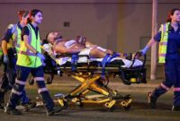 1765775181285-abc-1765770870244_169