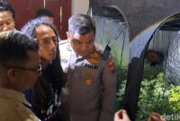 1765818342601-pria-gimbal-yang-ditangkap-saat-polisi-menggerebek-rumah-kontrakan-berisi-pertanian-ganja-di-jombang-1765800819046_169