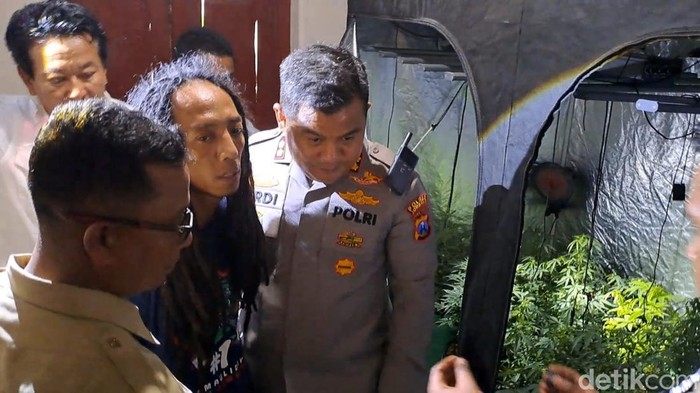 1765818342601-pria-gimbal-yang-ditangkap-saat-polisi-menggerebek-rumah-kontrakan-berisi-pertanian-ganja-di-jombang-1765800819046_169