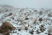 1766293539449-salju-turun-di-tabuk-1766120886910