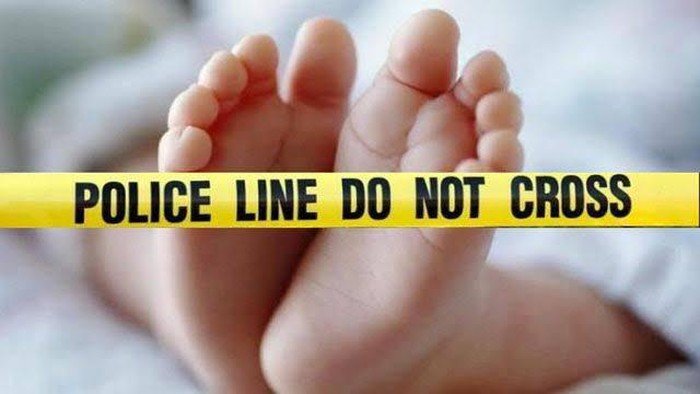 1767740715300-ilustrasi_169