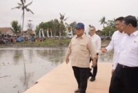 1767762370138-prabowo-hadiri-panen-raya-dan-pengumuman-swasembada-pangan-di-karawang-1767761599995_169