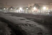 1767870350064-888923f5-64a5-4e4f-a17a-e50d0750c3ae_169