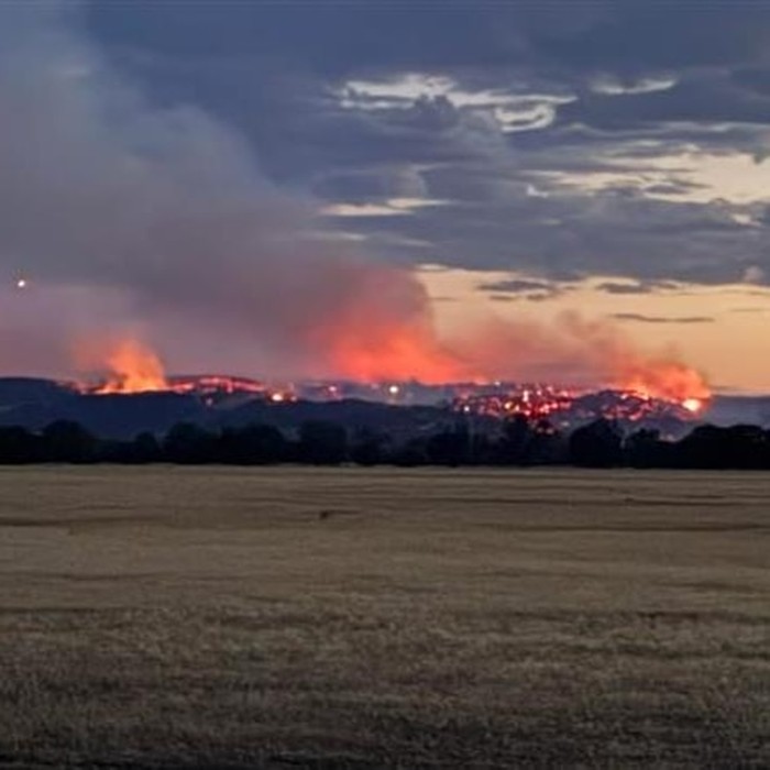 1767870351068-dunia-hari-ini-australia-bersiap-hadapi-kebakaran-hutan-yang-mengerikan-1767867500897