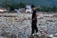 1767956771903-petani-sawit-1767945917994_169