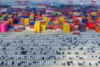 1768388775922-dw-1768387833736_169