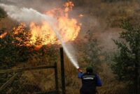 1769123123020-chile-wildfire-1769059050894_169