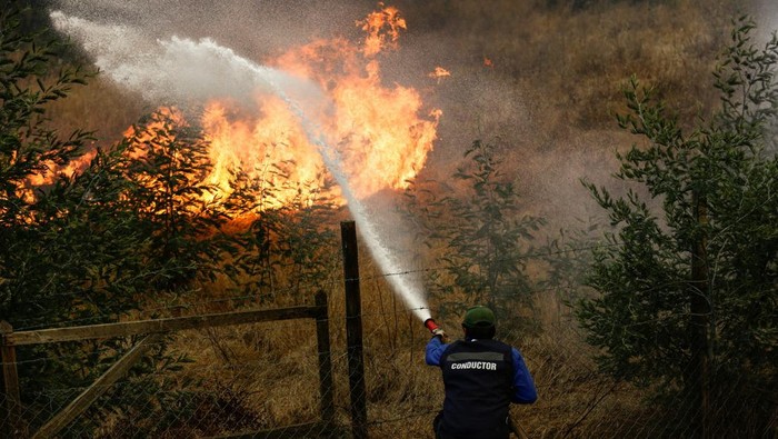 1769123123020-chile-wildfire-1769059050894_169