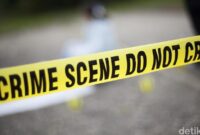 1769274358423-ee5711ef-e911-45b4-8c03-0f958db2a558_169