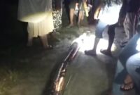 1769447159566-warga-membunuh-ular-piton-8-meter-di-maros-yang-nyaris-menewaskan-seorang-wanita-1769415715884_43